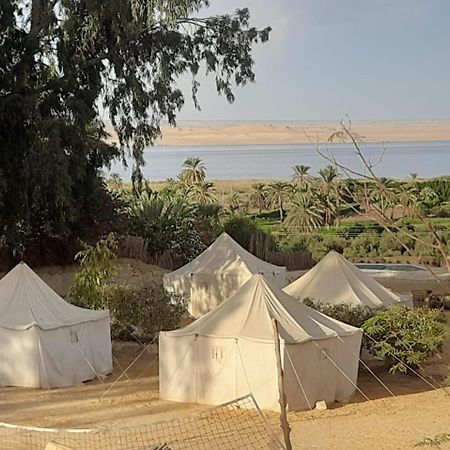 Tunis Camp אל פאיום מראה חיצוני תמונה