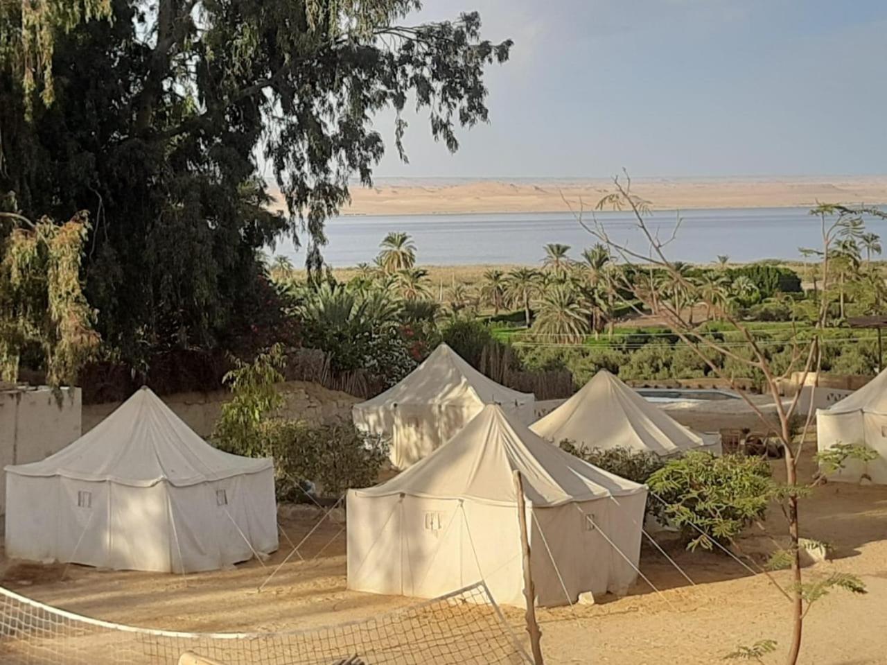 Tunis Camp אל פאיום מראה חיצוני תמונה